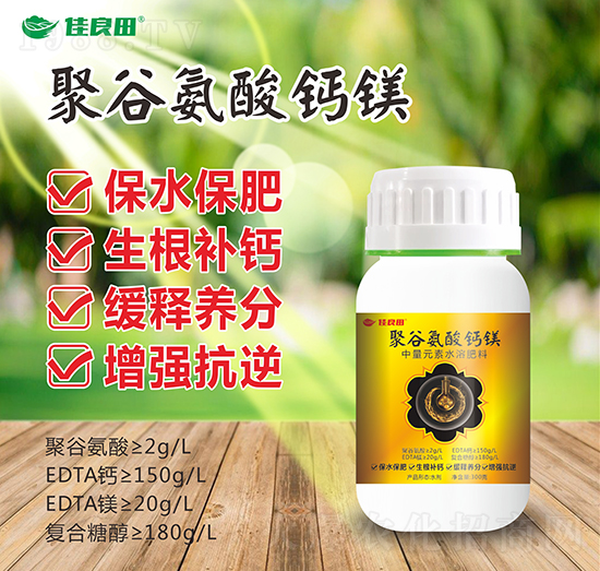 �۹Ȱ����}�V-���z��