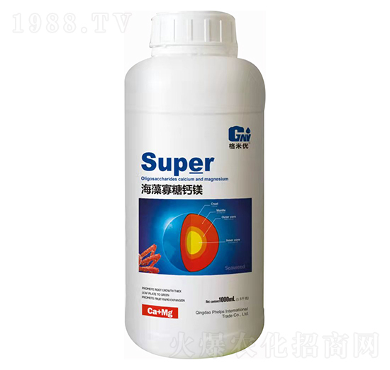 ��������}�V-�Ơ���˹