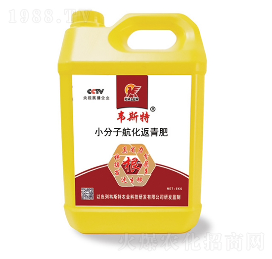 С���Ӻ��������-�f˹��-��(l��)�r(n��ng)�I(y��)