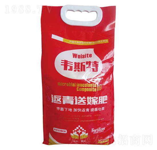 �w���ͼ޷�-�f˹��-��(l��)�r(n��ng)�I(y��)