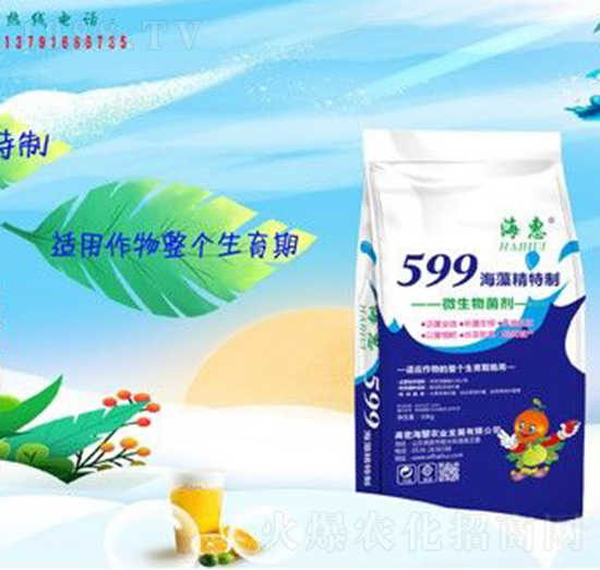 599���徫����-����