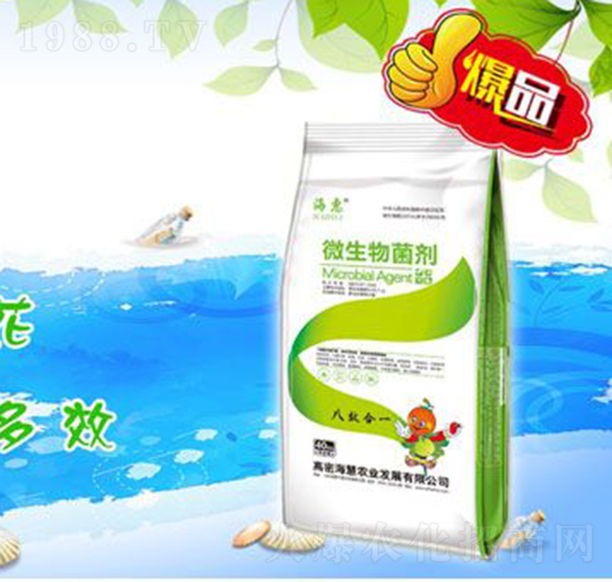 ΢�������-����