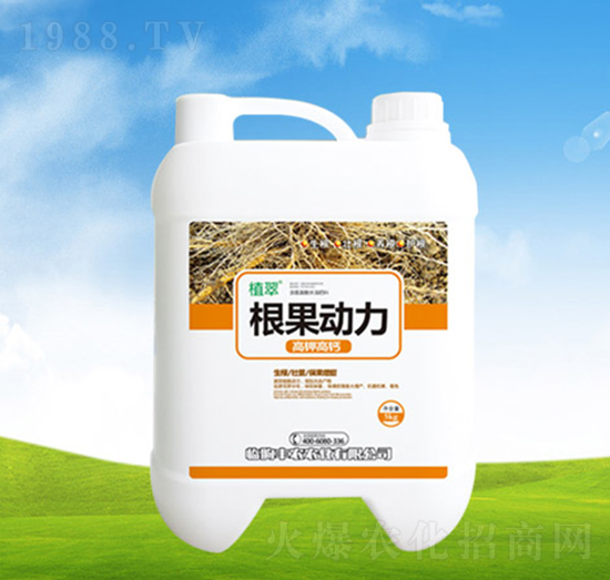 ��������-ֲ��-�S�r�r��