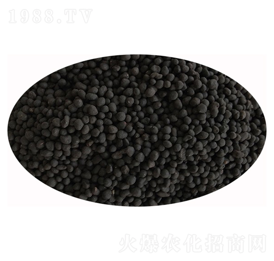 �ͺ�΢��������w��-��ɏ���