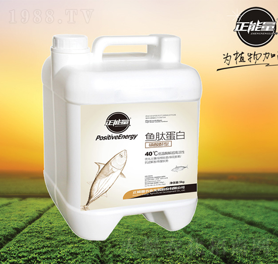 �~�ĵ���-������-������