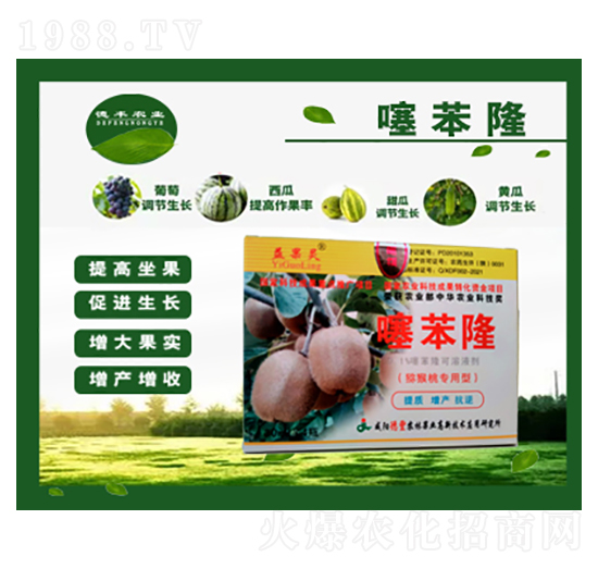 �J���Ҍ����籽¡-���S