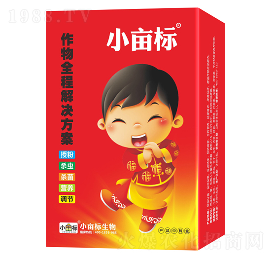 ȫ�̽�Q����-С����