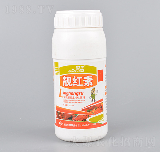 �n�t��-��(gu��)��-������