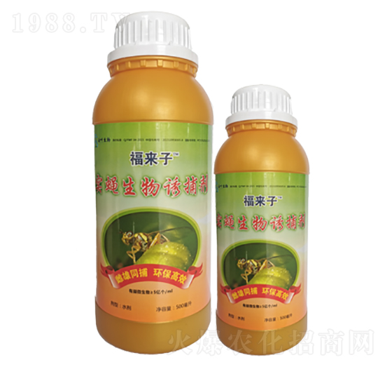 ��ω�����T����-������-���~�ɷ�