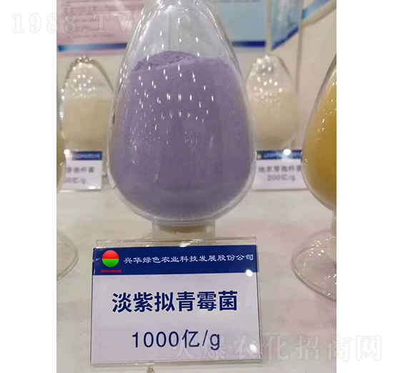 ������ù��-�d�A�Gɫ