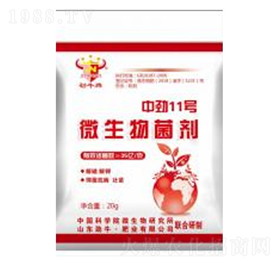 �Є�11̖΢�������-��ţ