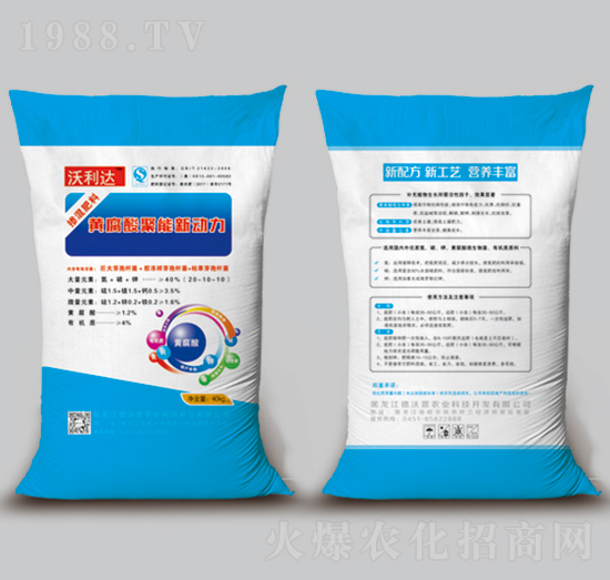 40kg�S�����������-�����_-������