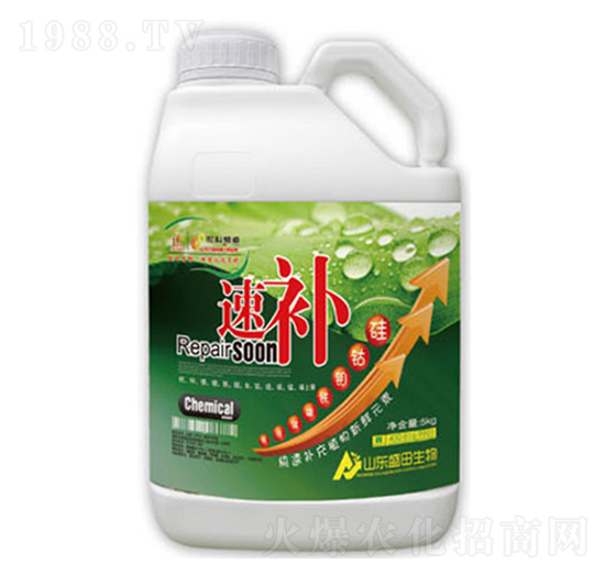 ���a-ʢ������