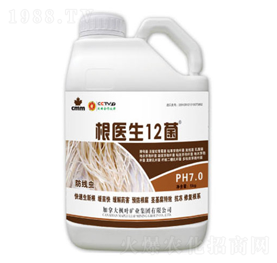 ���t(y��)��12��-ʢ������