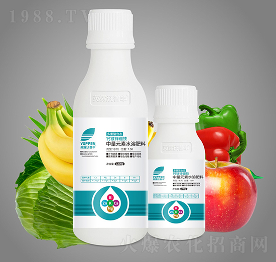 ���������}�V�\���F-Ӣ¶�����S