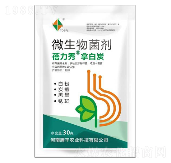 ΢�������-�������ð�̿-�v�S�r�I(y��)