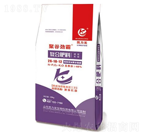 �ͺϷ���26-10-12-�۹ȄŰ�-�P����