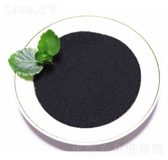 �S����⛢���-���B��