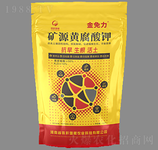 �VԴ�S�����-������-�F�U�۸�