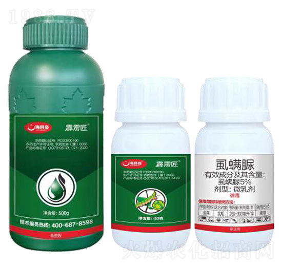 5%ʭ����-���Z��-������