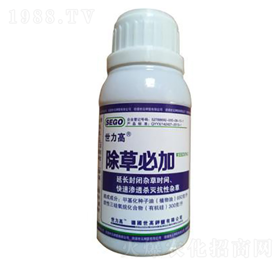 ���ݱؼ�-����������