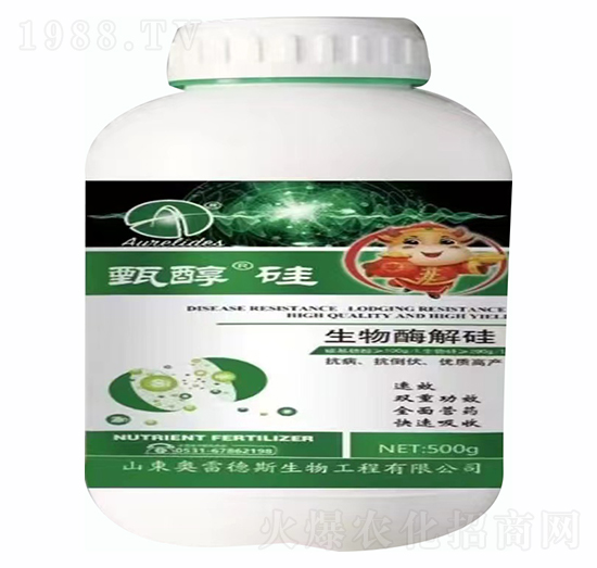 �紼��-�W�׵�˹