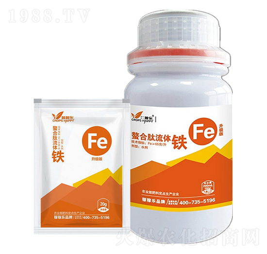 ���������w�F-�ڼژ�