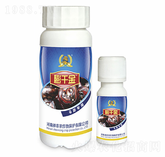 �R�㌣(zhu��n)���~���-��ǧ��-�������r(n��ng)