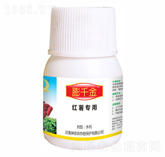 ��ǧ�𣨼t�팣�ã�-�������r