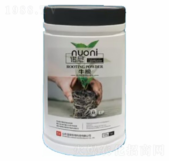 ţ��-�Z��-�~�蝙(r��n)