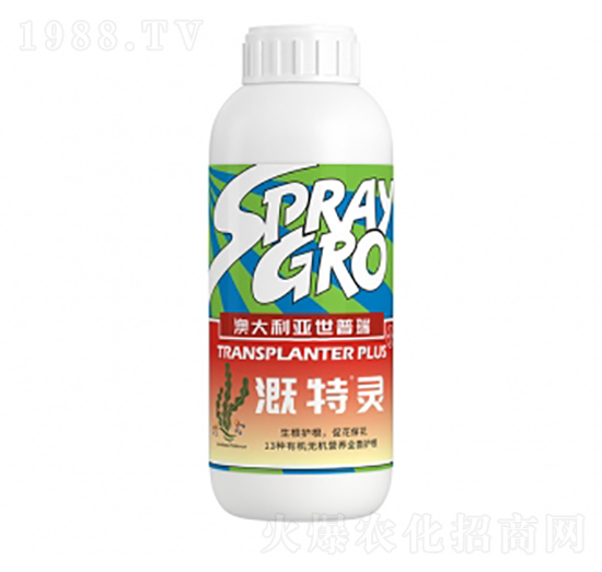 溉特靈-瑞年特肥