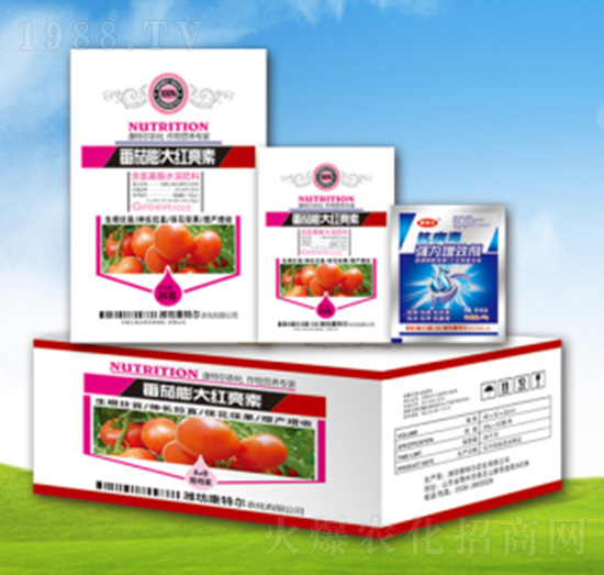 �������t����-���ؠ��r(n��ng)��