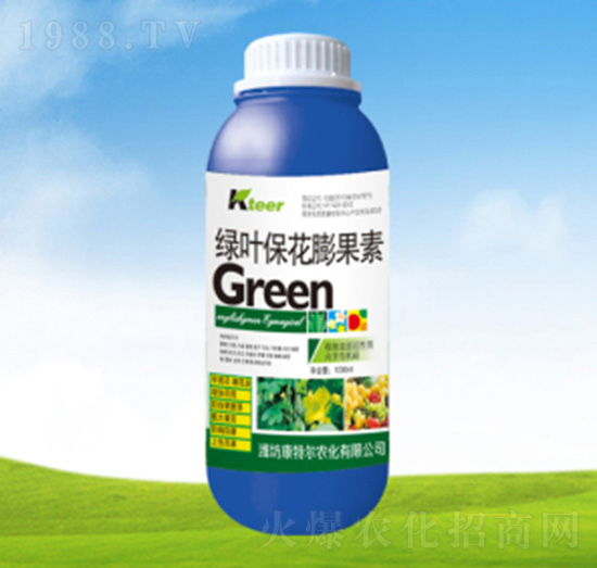 �G�~���������-���ؠ��r��