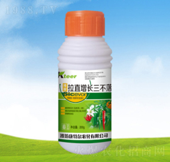 ��ֱ���L������-���ؠ��r��