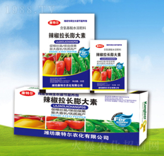 精品葉面肥-辣椒拉長膨大素-康特爾農(nóng)化