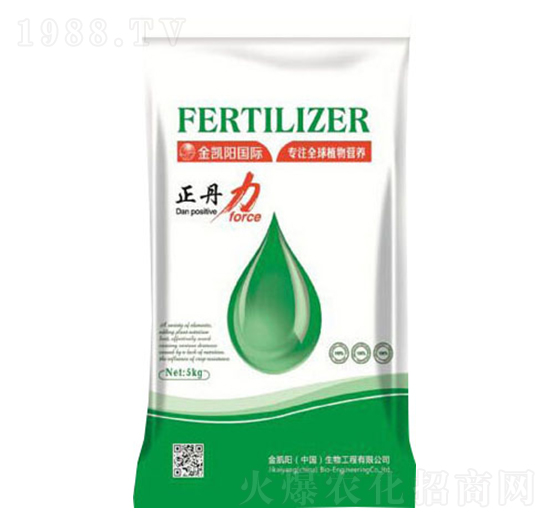 ������-���P�