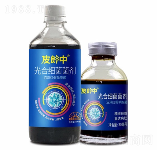 ��ϼ�������-Ƥ����-��������