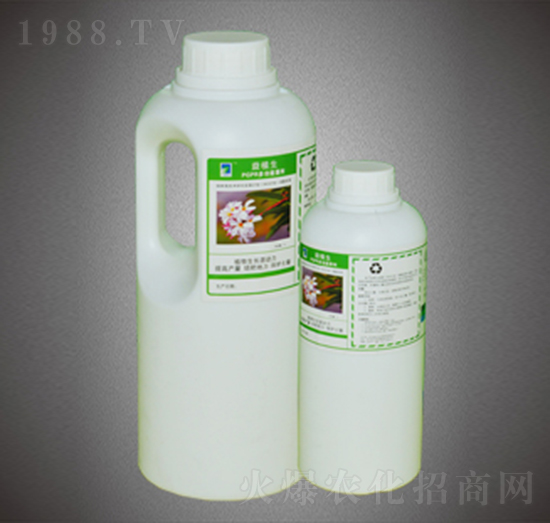 �ͺ�΢�������-�G�����