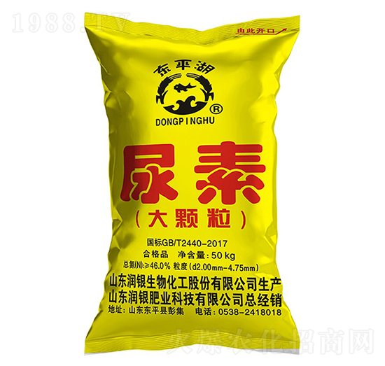 ���w������-�|ƽ��-���y����