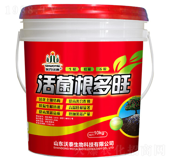 ���������-��̩����