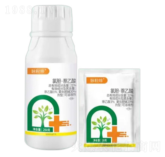 21%��đ�����������Һ��-�}����-�Z�����r(n��ng)�I(y��)