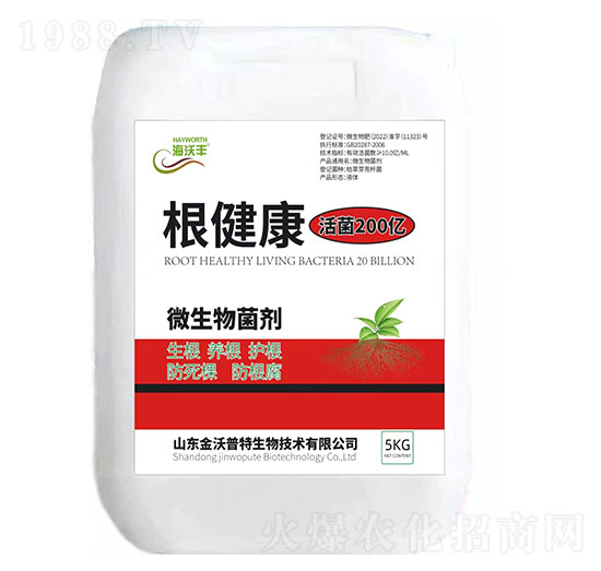 ΢�������-������-�����S-��������