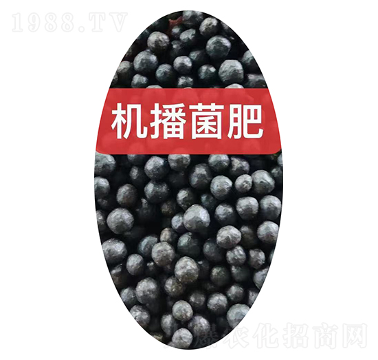 �C(j��)�������w��-���r(n��ng)