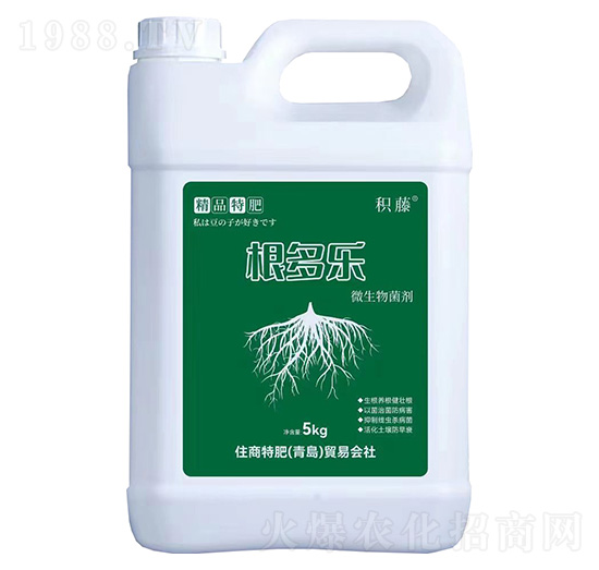 ΢�������-������-�e��-ס���ط�