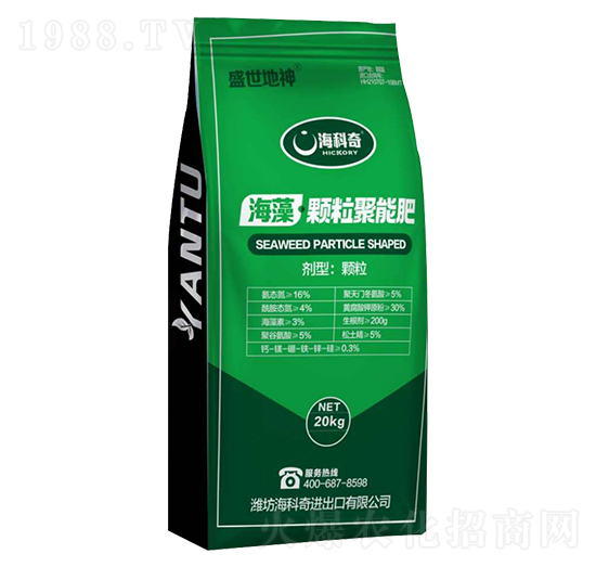 �����w�����ܷ�-ʢ������-������