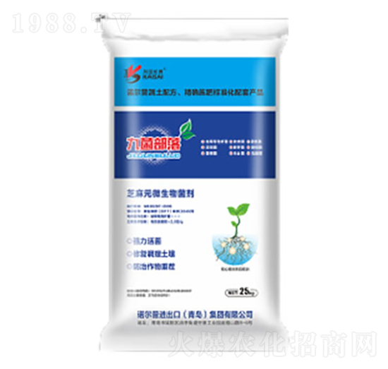 �ž�����-�Z����