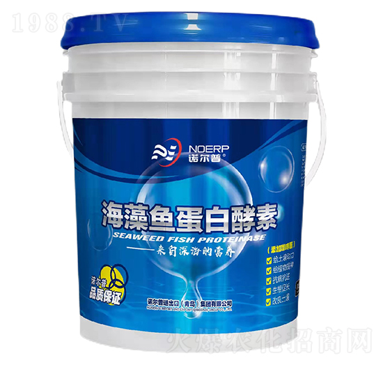 �����~���׽���-�Z����