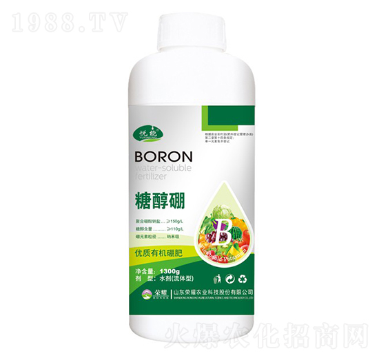 �Ǵ���-����-�sҫ�r�I(y��)