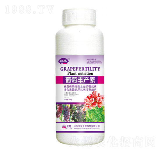 �����S�a(ch��n)�أ�500g��-����-�sҫ�r(n��ng)�I(y��)