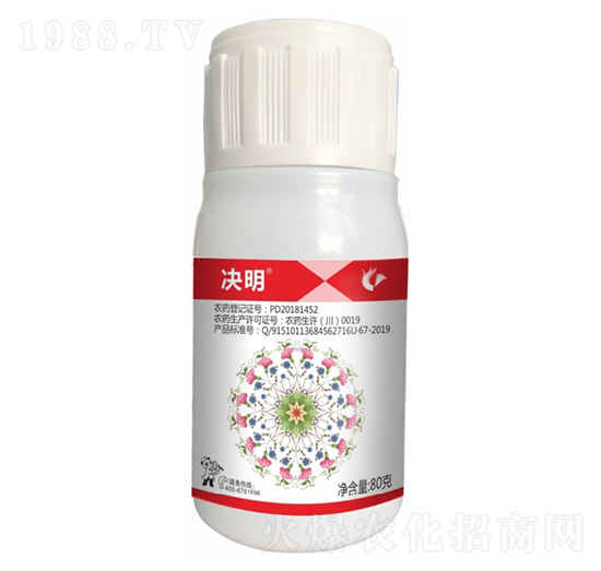 24%���x��������-�Q��-����¡����